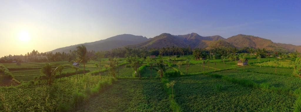D'Sawah Amed Homestay & Warung Pokoj fotografie