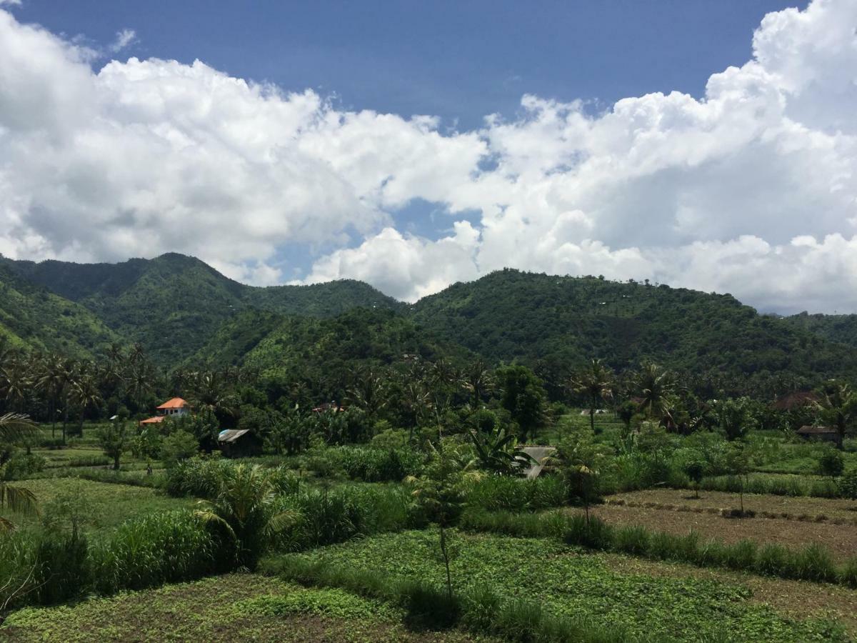 D'Sawah Amed Homestay & Warung Exteriér fotografie